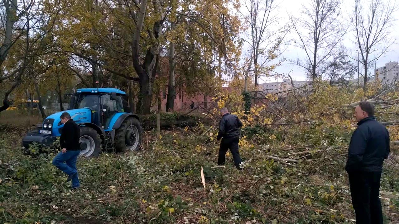 2017.11.02. - Örökösföldi templom - Fakivágás 9