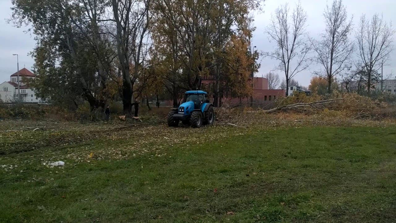 2017.11.02. - Örökösföldi templom - Fakivágás 6