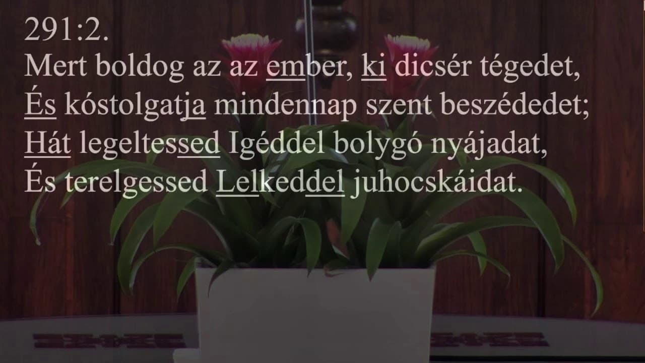 Istentisztelet NyVREk 2026.01.11. 10:30 élő