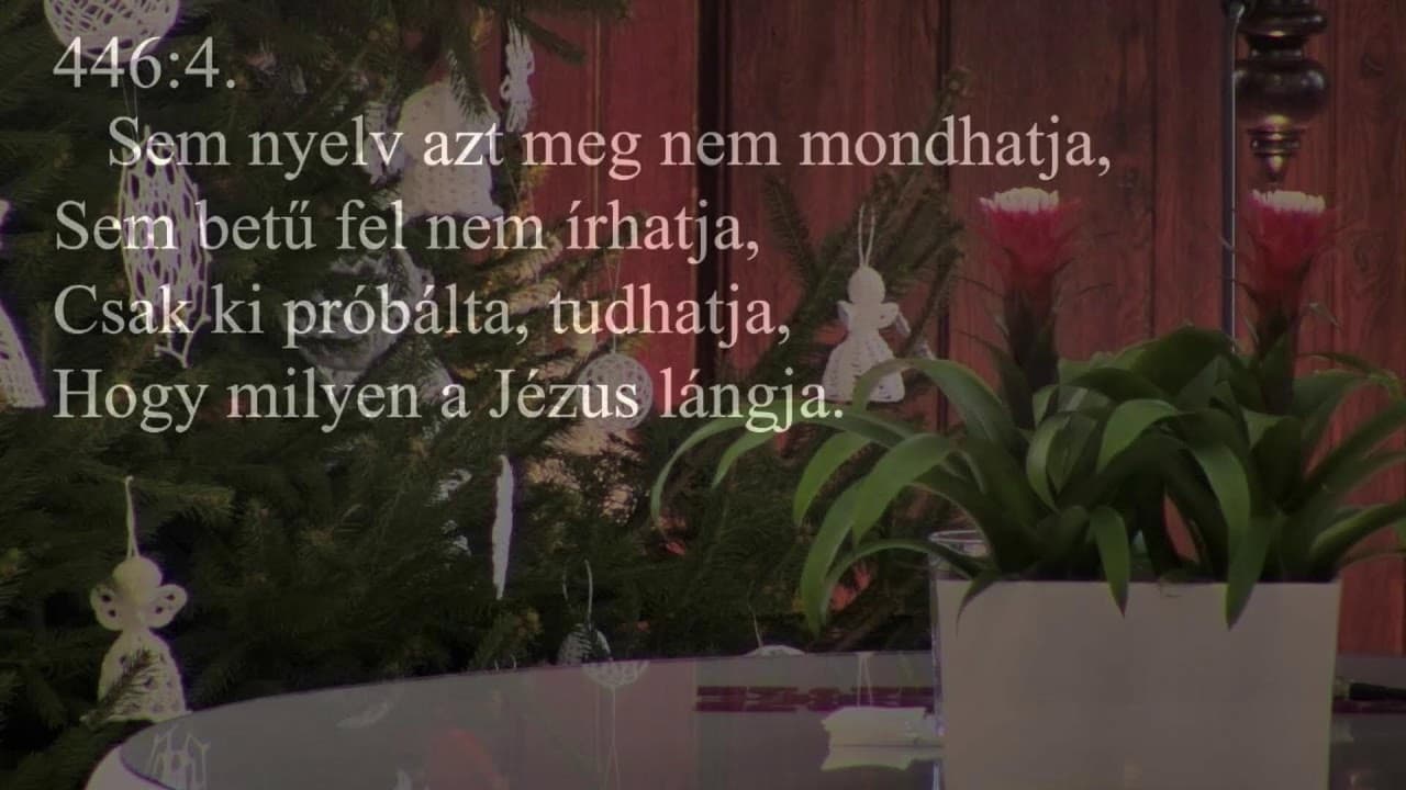 Istentisztelet NyVREk 2026.01.04. 10:30