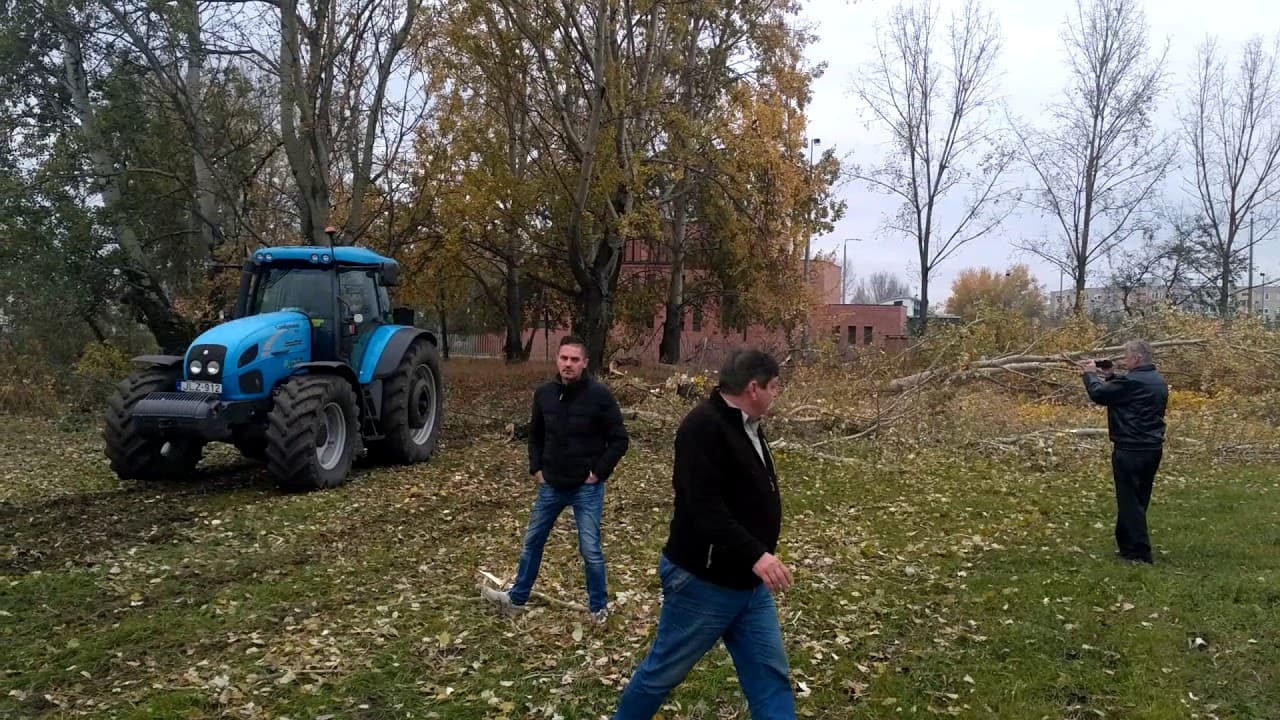 2017.11.02. - Örökösföldi templom - Fakivágás 7