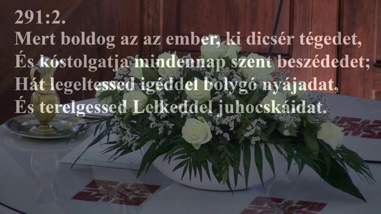 Istentisztelet NyVREk 2022.06.19 10:30 ÉLŐ