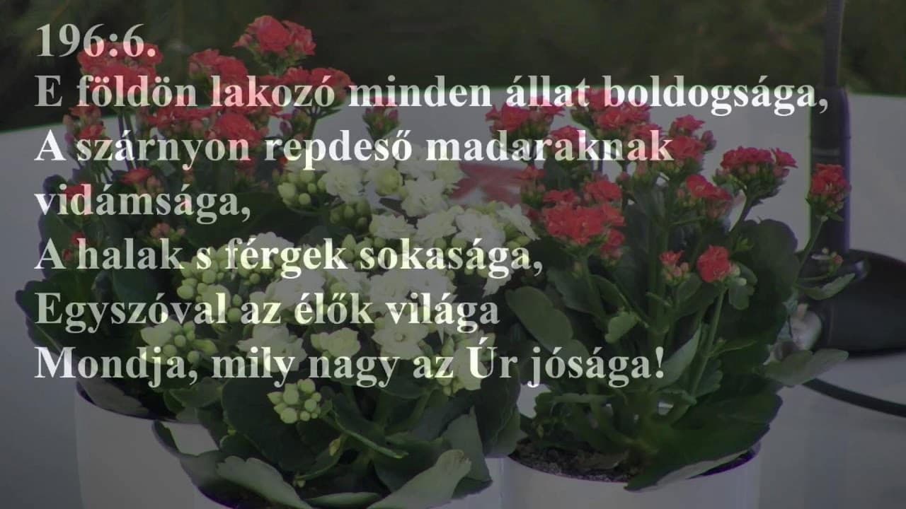 Istentisztelet NyVREk 2022. 01.02. 10:30