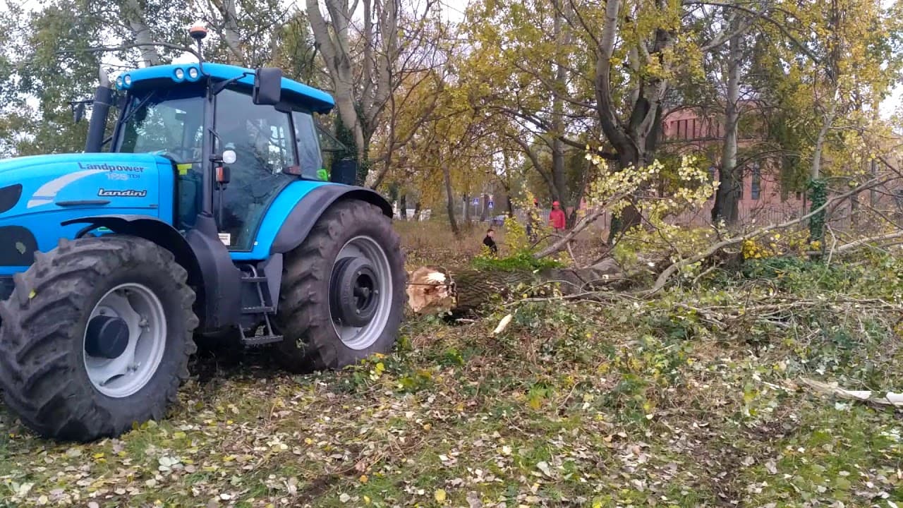 2017.11.02. - Örökösföldi templom - Fakivágás 8
