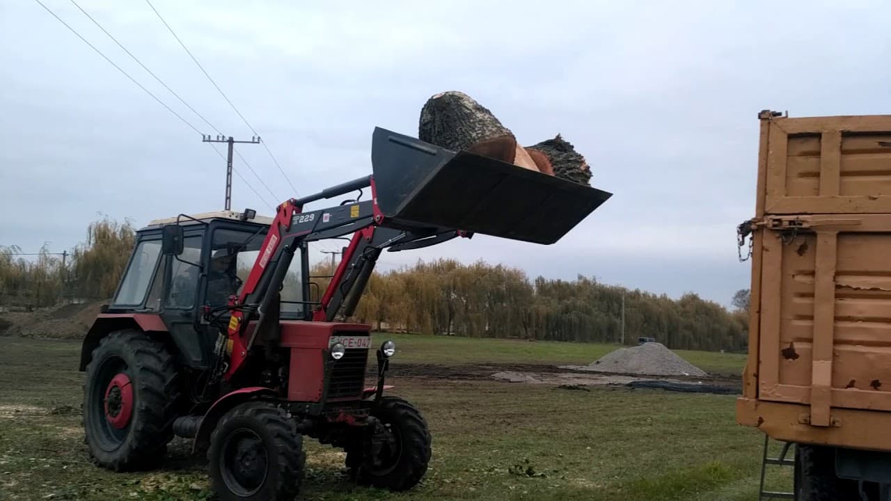 2017.11.02. - Örökösföldi templom - Fakivágás 5