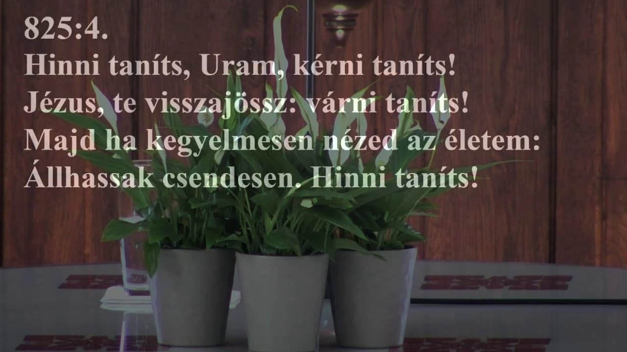 Istentisztelet NyVREk 2023.03.26. 10:30 élő