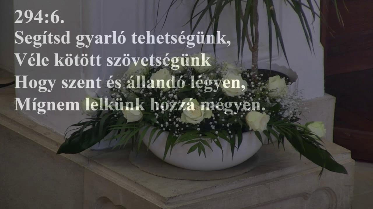 Istentisztelet NyVREk 2022.06.05 10:30