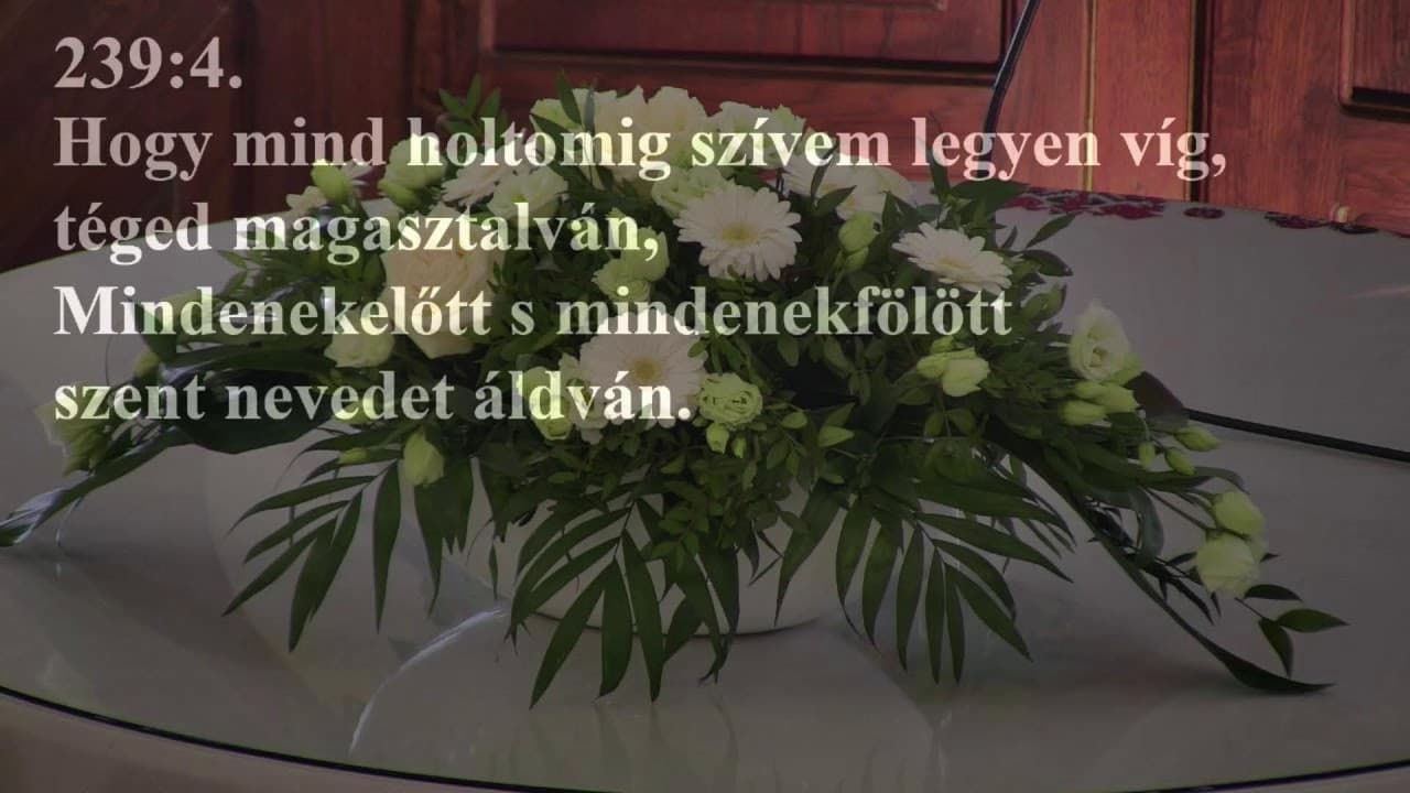 Istentisztelet NyVREk 2025.02.23. 10:30 élő