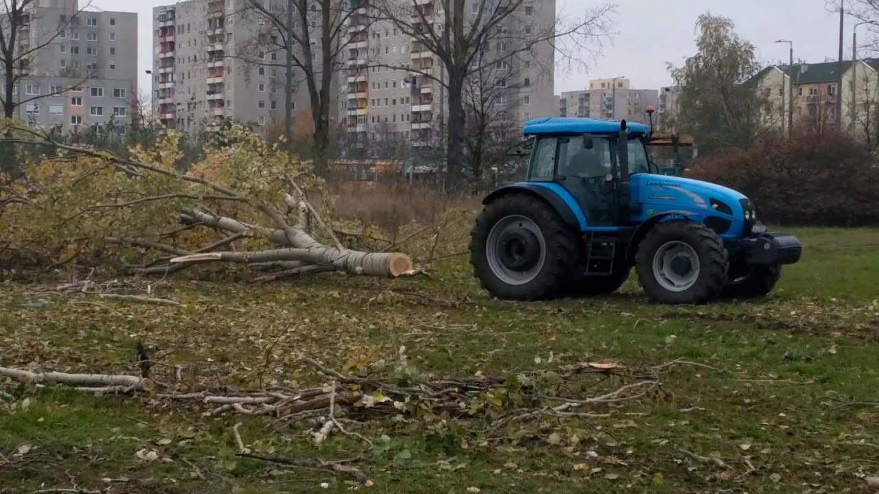 2017.11.02. - Örökösföldi templom - Fakivágás 4