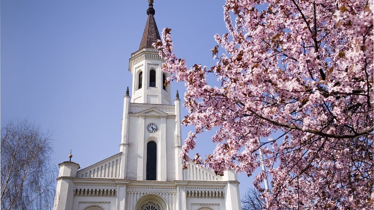 NyVREk Reggeli áhitat 2020.11.04. 7:30 élő