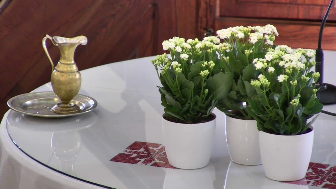 NyVREk Istentisztelet 2021.09.19.10:30 élő