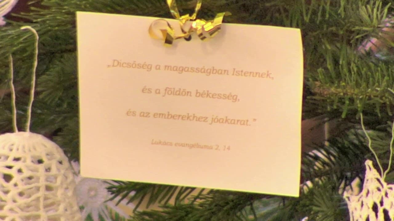 Istentisztelet NyVREk 2024.12.29. 10.30