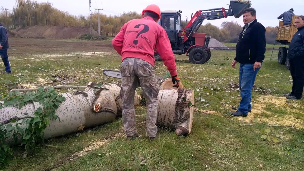 2017.11.02. - Örökösföldi templom - Fakivágás 3