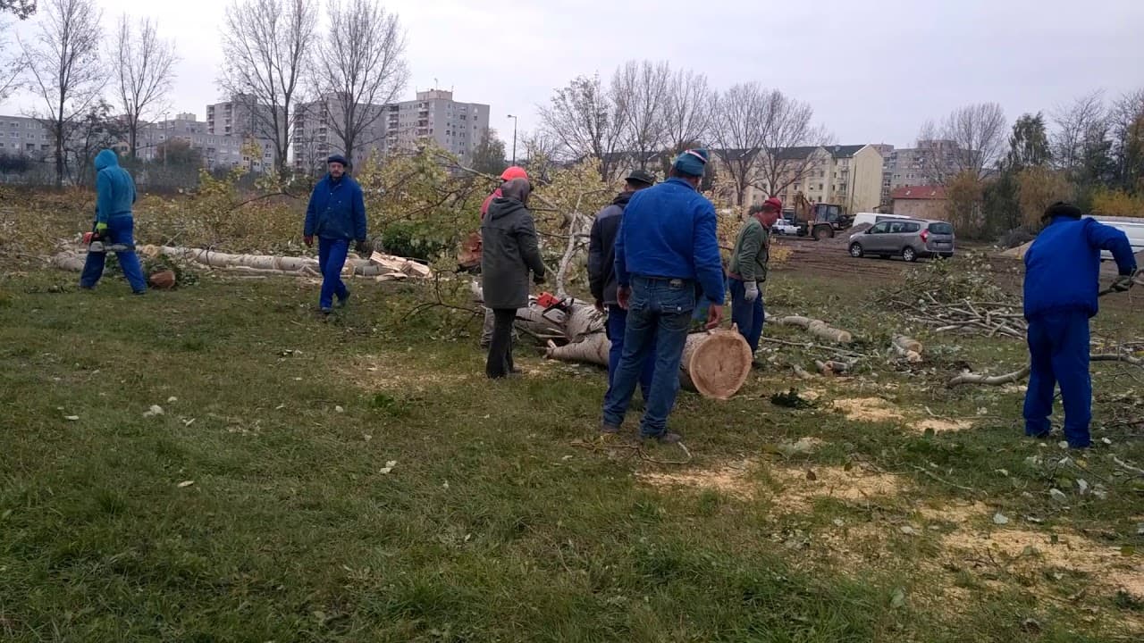 2017.11.02. - Örökösföldi templom - Fakivágás 2