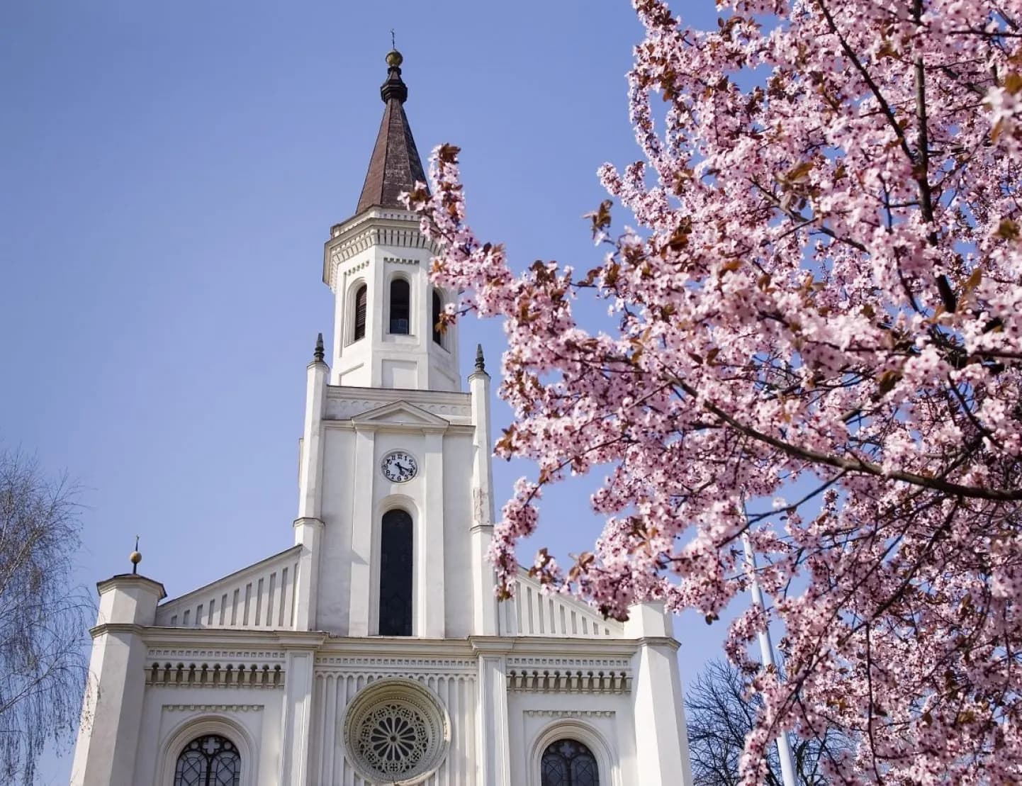 Ünnepi istentiszteleti rend - Nagyhét, Húsvét - Nyíregyháza-Városi Református Egyházközség, 2020. április 5.